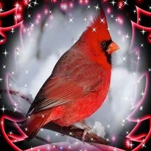 Meet your Posher, Mj